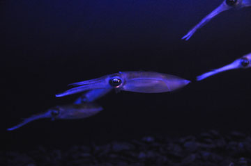 DSC_5104.jpg