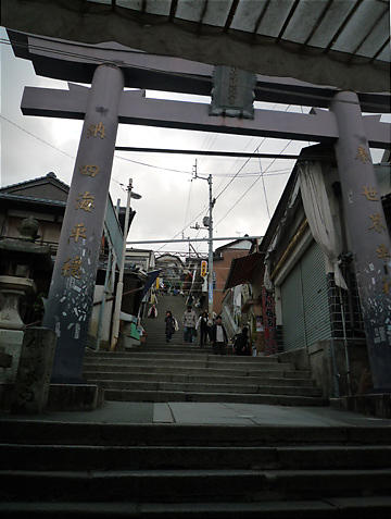 P1020704.jpg