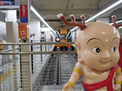 P1130620.jpg